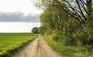 Path through fields in &quot;Waltersdorfer Flur&quot;, Foto: Claudia Donat, Lizenz: Naturpark Niederlausitzer Landrücken