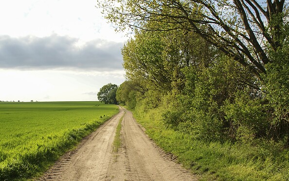 Path through fields in &quot;Waltersdorfer Flur&quot;, Foto: Claudia Donat, Lizenz: Naturpark Niederlausitzer Landrücken