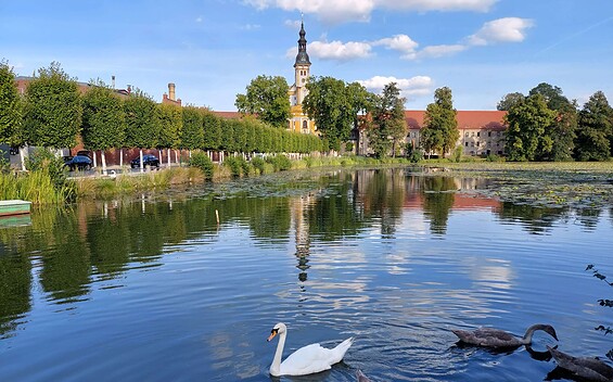 Klosterteich Neuzelle, Foto: Besucherinformation Neuzelle, Lizenz: Besucherinformation Neuzelle