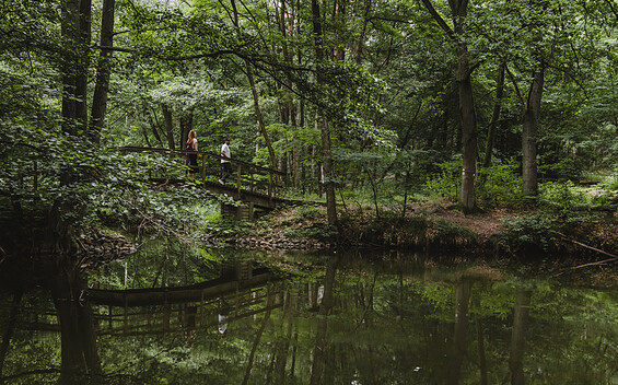 Naturführungen rund um Fürstenberg und Himmelpfort