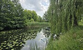 Friedrich-Wilhelm-Kanal, Foto: Seenland Oder-Spree/ Dana Braun, Lizenz: Seenland Oder-Spree/ Dana Braun