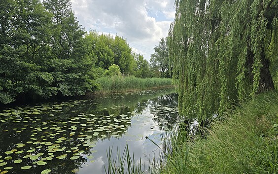 Friedrich-Wilhelm-Kanal, Foto: Seenland Oder-Spree/ Dana Braun, Lizenz: Seenland Oder-Spree/ Dana Braun