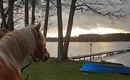 holiday farm Bahlens-Schur - with the horse at the lake, Foto: Andrea Schur