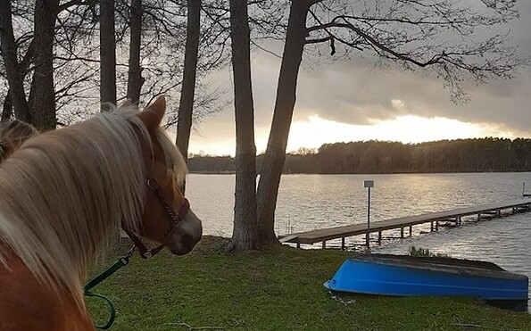 holiday farm Bahlens-Schur - with the horse at the lake, Foto: Andrea Schur