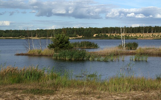 Lake "Lichtenauer See", Foto: Ralf Donat, Lizenz: Naturpark Niederlausitzer Landrücken