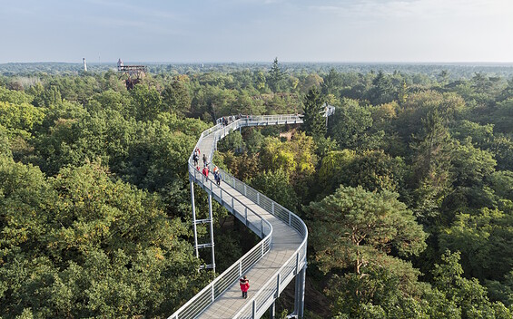 Treetop walk “Baum & Zeit” (“Baumkronenpfad”)
