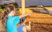 Exhibition at the Nature Experience Center, Foto: Ralf Donat, Lizenz: Heinz Sielmann Stiftung