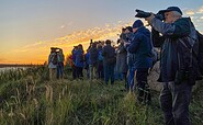 Birdwatchers, Foto: Ralf Donat, Lizenz: Heinz Sielmann Stiftung