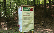 Infotafel am Gesundheitsweg, Foto: Bad Freienwalde Tourismus GmbH