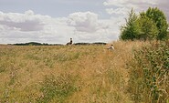 Auf der Wiese, Foto: Alexander Gehring
