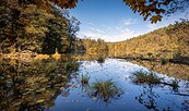 Naturpark Schlaubetal, Foto: Florian Läufer, Lizenz: Seenland Oder-Spree