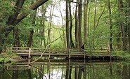 Schlaubetal, Foto: Marie Kessler, Lizenz: Seenland Oder-Spree e.V.