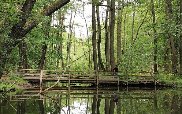 Schlaubetal, Foto: Marie Kessler, Lizenz: Seenland Oder-Spree e.V.