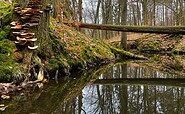 Rundweg Schlaubemühle, Foto: Constanze Mikeska