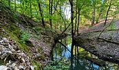 Rundweg Schlaubemühle, Foto: Constanze Mikeska
