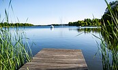 Großer Müllroser See, Foto: TMB-Fotoarchiv/Steffen Lehmann, Lizenz: Tourismus-Marketing Brandenburg