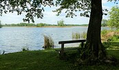 Peitzer Teichlandschaft, Foto: Amt Peitz/N. Mucha, Lizenz: Amt Peitz