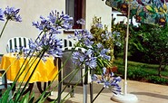 Terrasse, Foto: Ferienhaus &quot;Haus zur Havel&quot;