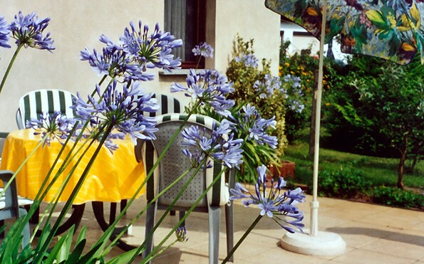 Terrasse, Foto: Ferienhaus &quot;Haus zur Havel&quot;