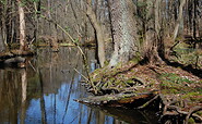 Hammersee, Foto: Constanze Mikeska, Lizenz: Constanze Mikeska