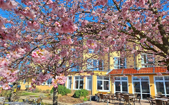 Einklang - Dein Hotel &amp; Restaurant , Foto: Einklang - Dein Hotel &amp; Restaurant