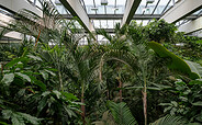 Tropenhalle , Foto: Marc Lehnhardt, Lizenz: Biosphäre Potsdam
