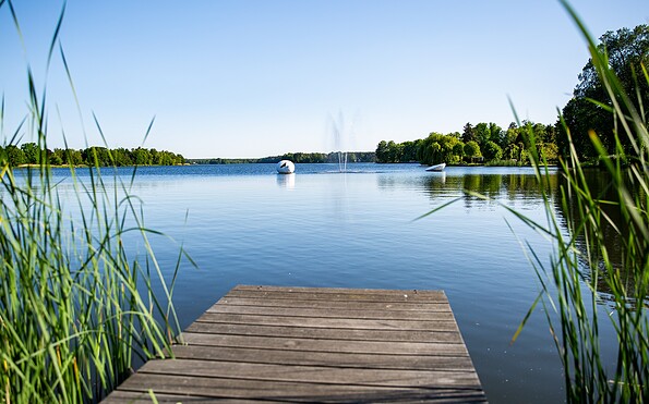 Großer Müllroser See, Foto: Steffen Lehmann, Lizenz: TMB
