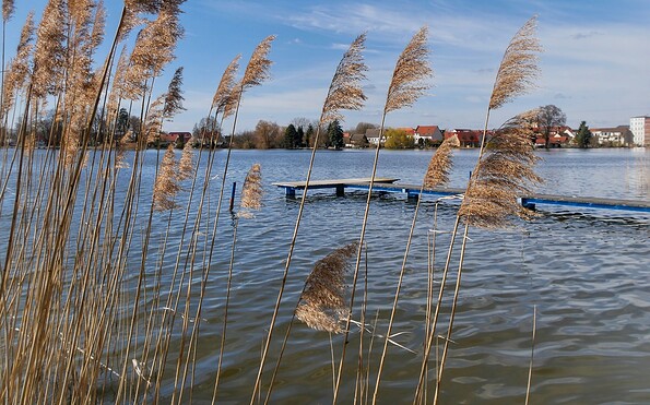 Großer Müllroser See, Foto: Angelika Laslo, Lizenz: Seenland Oder-Spree