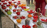 Tomatenverkostung VERN e.V. Greiffenberg, Foto: VERN e.V., Lizenz: VERN e.V.