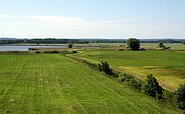 Borcheltsbusch, Foto: Claudia Donat, Lizenz: Naturpark Niederlausitzer Landrücken