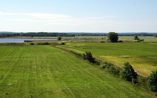 Borcheltsbusch, Foto: Claudia Donat, Lizenz: Naturpark Niederlausitzer Landrücken