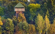Kranichturm Freesdorf, Foto: Ralf Donat, Lizenz: Naturpark Niederlausitzer Landrücken