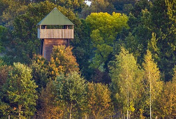 Kranichturm bei Freesdorf