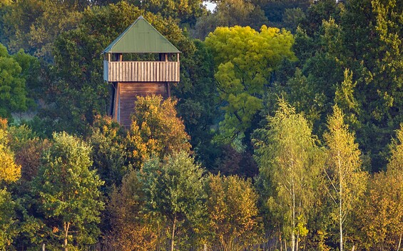 Kranichturm bei Freesdorf