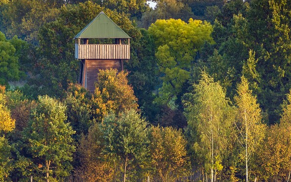Kranichturm Freesdorf, Foto: Ralf Donat, Lizenz: Naturpark Niederlausitzer Landrücken