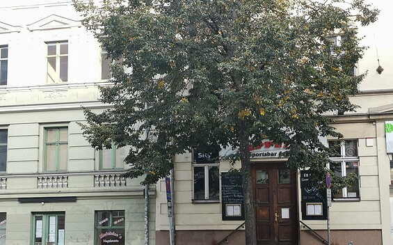 Zeppelin – Sportsbar & Pub