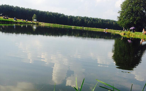 Werlsee, Foto: Ellen Russig, Lizenz: Seenland Oder-Spree