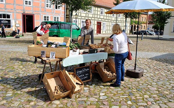 Auf dem Maarktplatz in Angermünde, Foto: Magnus Knigge