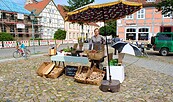Knigges Kulturen - Marktplatz Angermünde, Foto: Magnus Knigge