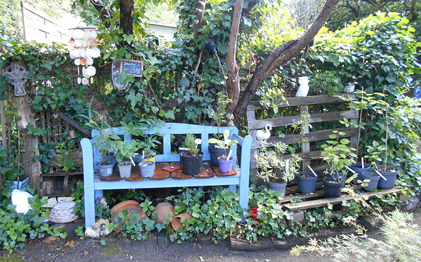 Pflanzenverkauf, Foto: Exotik-Kunst-Garten