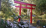 Bambushain, Foto: Exotik-Kunst-Garten