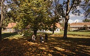 Spaziergang mit Hunden in Glashütte, Foto: Madlen Krippendorf, Lizenz: TMB