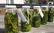 Wildkräuteröl, Foto: Ulrike Dittmann