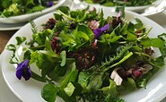 Wilder Salat, Foto: Ulrike Dittmann