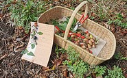 Herbstwanderung, Foto: Ulrike Dittmann