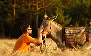 Hiking with a donkey as a companion, Foto: Heidesee Esel, Lizenz: Heidesee Esel, Daniel and Nicole Fiedler GbR