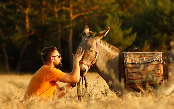 Hiking with a donkey as a companion, Foto: Heidesee Esel, Lizenz: Heidesee Esel, Daniel and Nicole Fiedler GbR