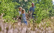 Hike in the Dahme-Seenland, Foto: Florian Trykowski, Lizenz: Tourismusverband Dahme-Seenland e.V.