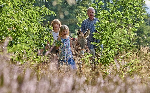 Hike in the Dahme-Seenland, Foto: Florian Trykowski, Lizenz: Tourismusverband Dahme-Seenland e.V.