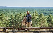 Hike in the Dahme-Heideseen Nature Park, Foto: Florian Trykowski, Lizenz: Tourismusverband Dahme-Seenland e.V.